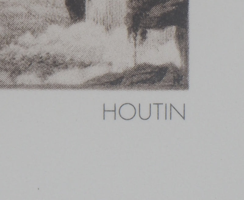 François HOUTIN : Cascades - Héliogravure (détail)