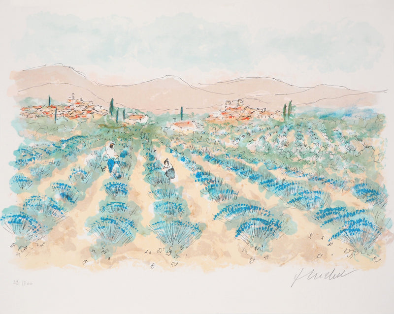 Urbain HUCHET : Provence, Champs de lavande - Lithographie