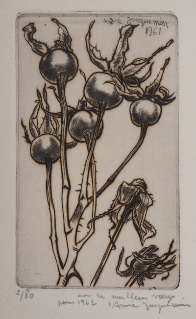 André JACQUEMIN : Plante hivernale, 1961 - Gravure