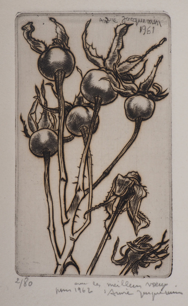 André JACQUEMIN : Plante hivernale, 1961 - Gravure