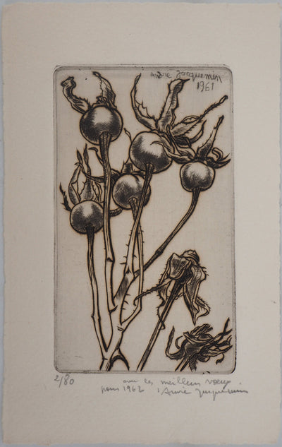 André JACQUEMIN : Plante hivernale, 1961 - Gravure (détail)