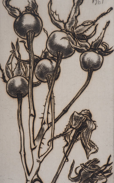 André JACQUEMIN : Plante hivernale, 1961 - Gravure (détail)