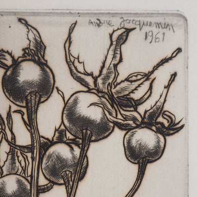 André JACQUEMIN : Plante hivernale, 1961 - Gravure (détail)