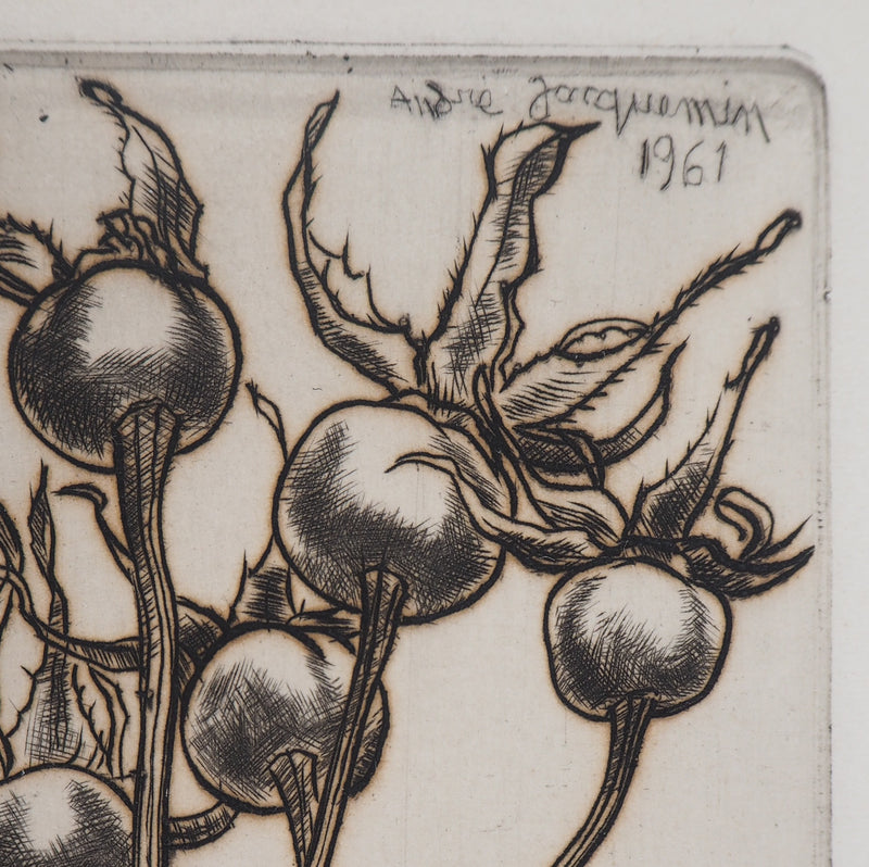 André JACQUEMIN : Plante hivernale, 1961 - Gravure (détail)