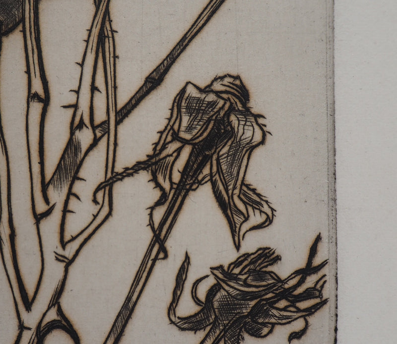 André JACQUEMIN : Plante hivernale, 1961 - Gravure (détail)