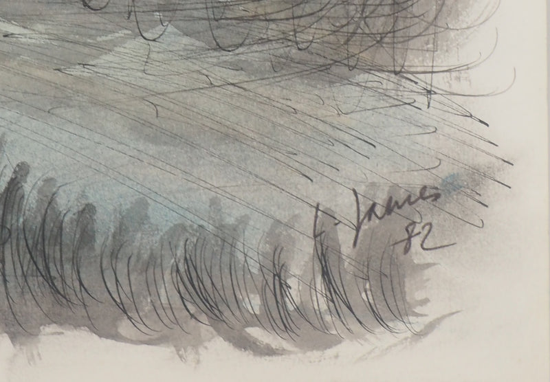 Louis JAMES : Petite maison dans la prairie, 1982 - Dessin (détail)