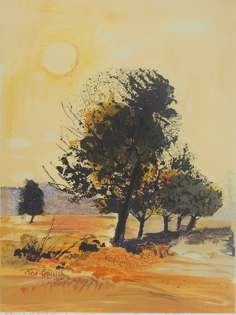 Michel JOUENNE : Champs de Provence - Lithographie