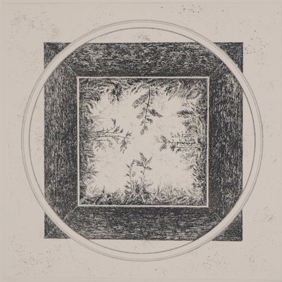 Marc JURT : Bamboos in space - Gravure