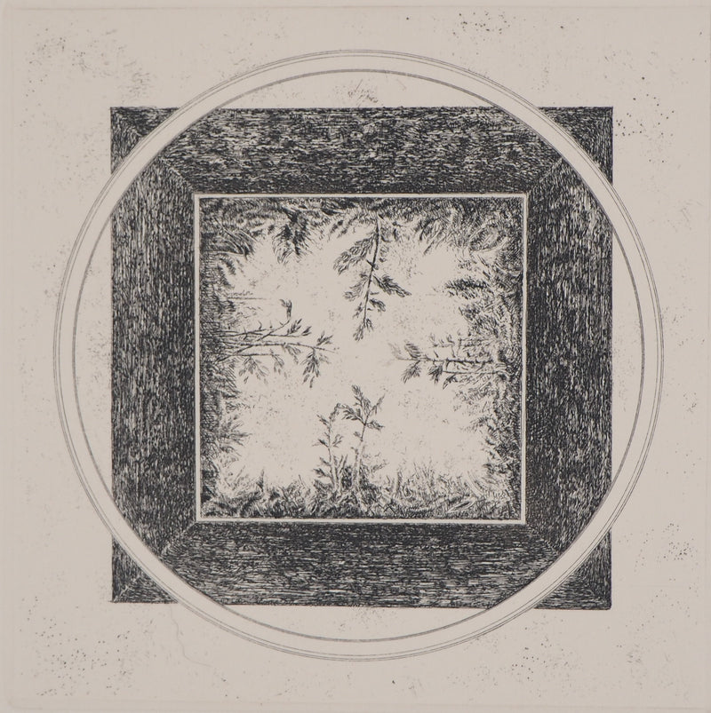 Marc JURT : Bamboos in space - Gravure