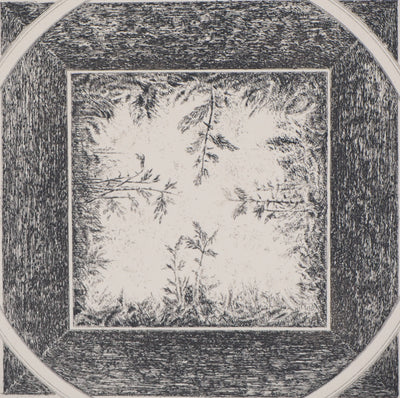 Marc JURT : Bamboos in space - Gravure (détail)