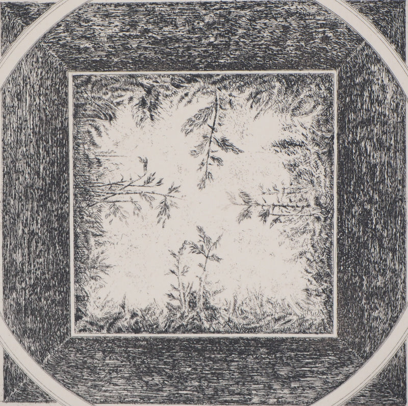 Marc JURT : Bamboos in space - Gravure (détail)