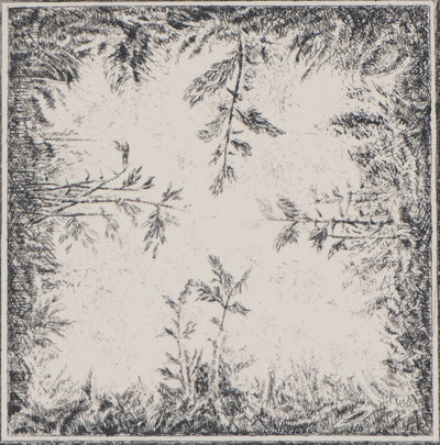 Marc JURT : Bamboos in space - Gravure (détail)