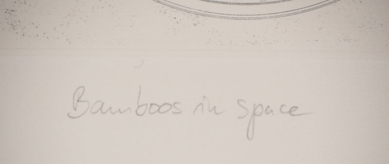 Marc JURT : Bamboos in space - Gravure (détail)