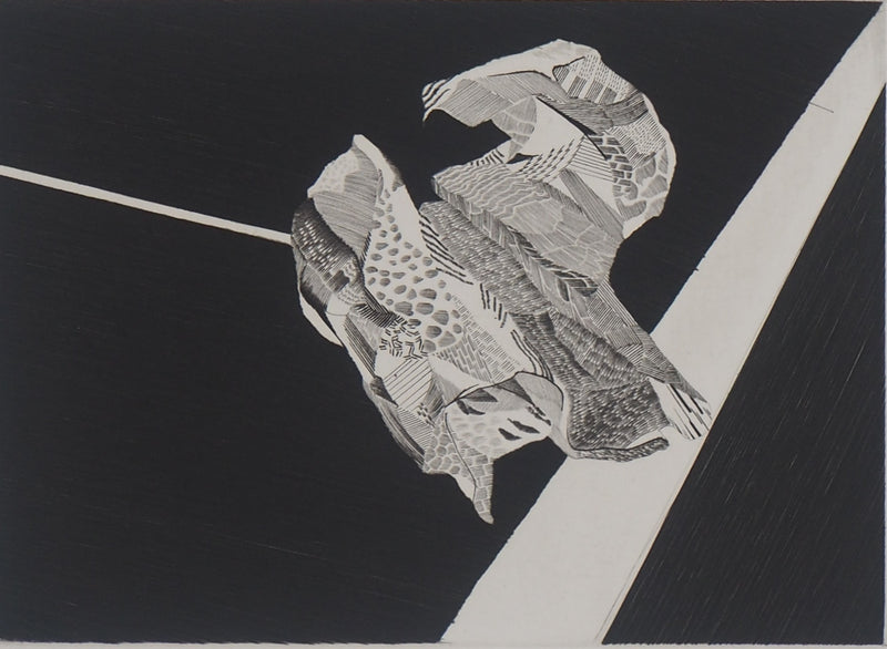  KIYIHO : Ça vole ! 1984 - Gravure (détail)