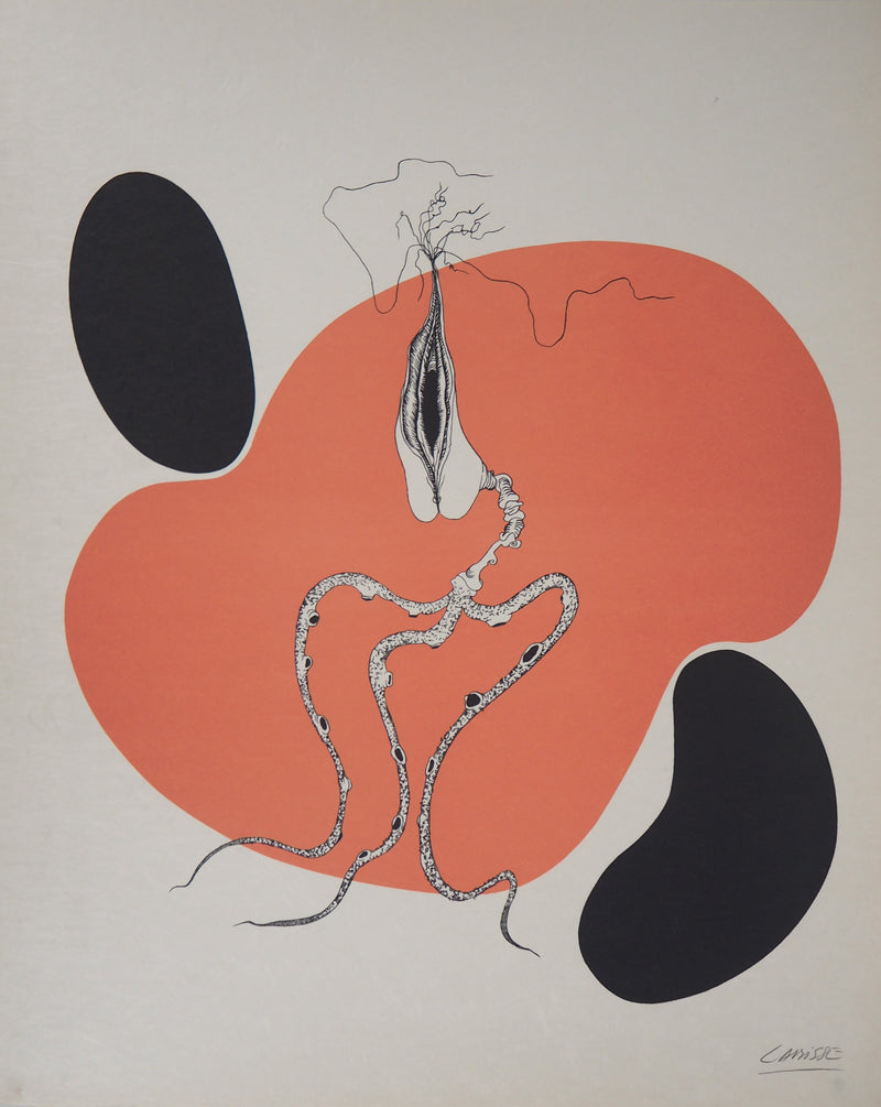 Félix LABISSE : Le Cherche-Midi, Lithographie originale (vue générale) - Crédit photo : Galerie Art.Paris