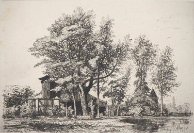 Maxime LALANNE : Acaçias - Gravure