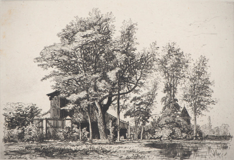 Maxime LALANNE : Acaçias - Gravure