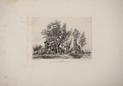Maxime LALANNE : Acaçias - Gravure (détail)