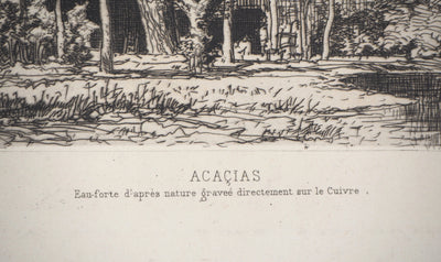 Maxime LALANNE : Acaçias - Gravure (détail)