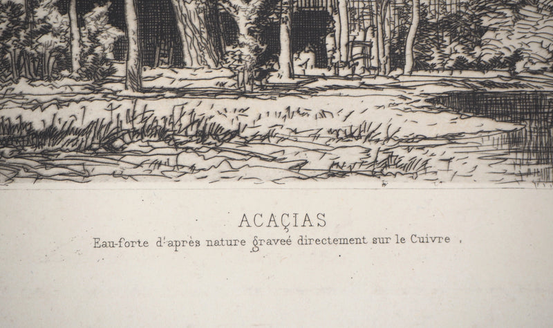 Maxime LALANNE : Acaçias - Gravure (détail)
