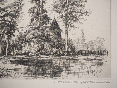 Maxime LALANNE : Acaçias - Gravure (détail)