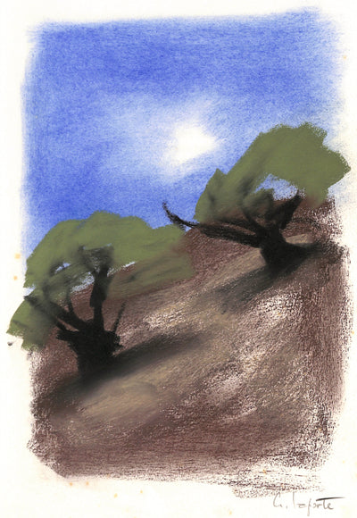 Georges LAPORTE : Oliviers à flanc de coteaux - Dessin (détail)