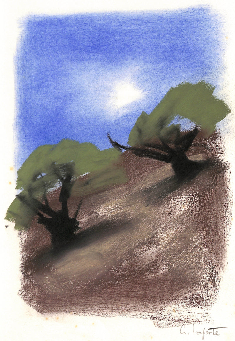 Georges LAPORTE : Oliviers à flanc de coteaux - Dessin (détail)