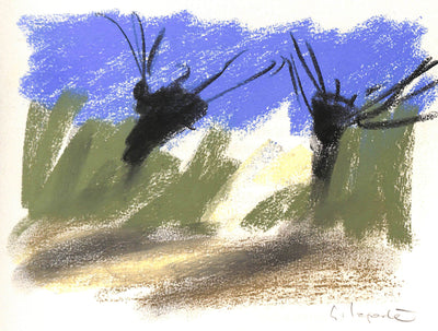 Georges LAPORTE : Oliviers sauvages - Dessin