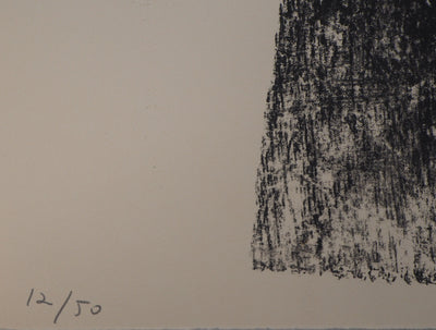 Berto LARDERA : Microcosmes intangibles - Lithographie (détail)