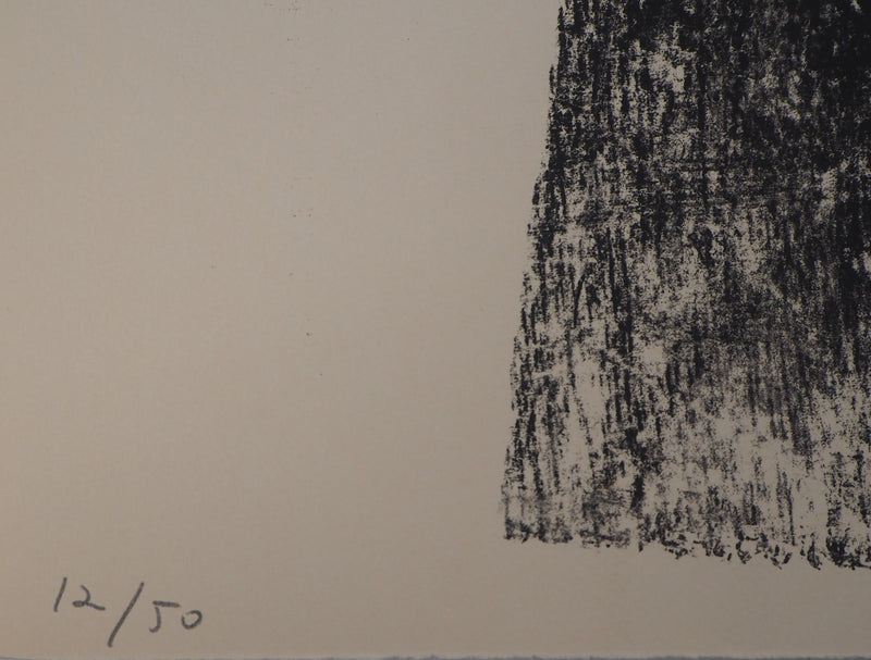 Berto LARDERA : Microcosmes intangibles - Lithographie (détail)