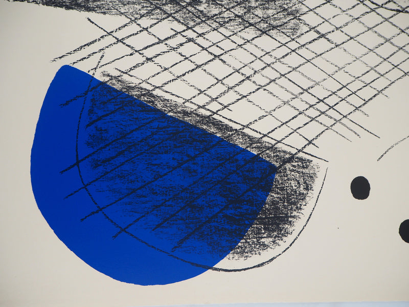 Berto LARDERA : Microcosmes intangibles - Lithographie (détail)