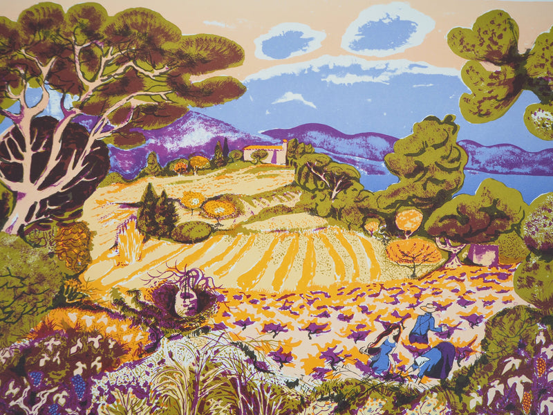 Dany LARTIGUE : Provence : l&