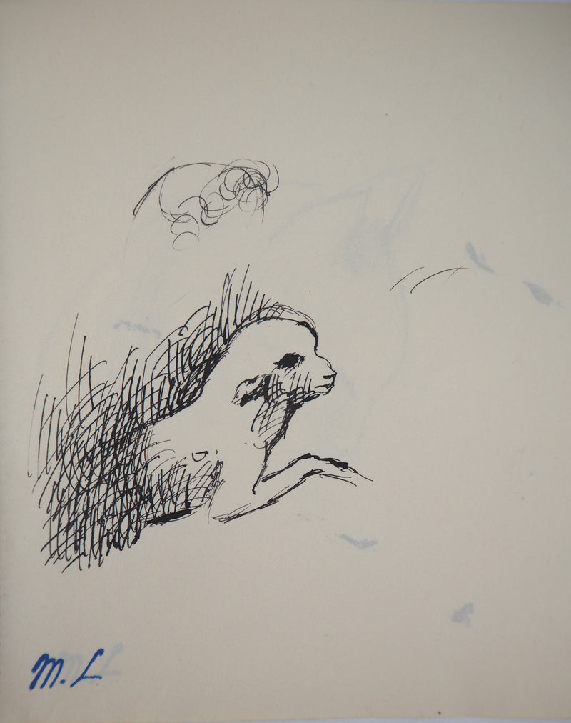 Marie LAURENCIN : Agneau - Dessin (détail)