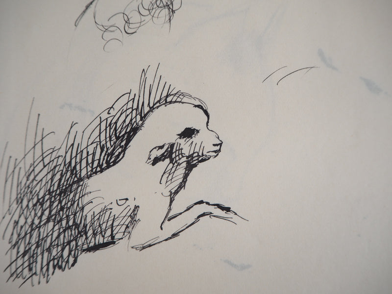 Marie LAURENCIN : Agneau - Dessin (détail)