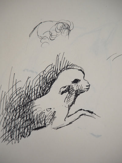 Marie LAURENCIN : Agneau - Dessin (détail)