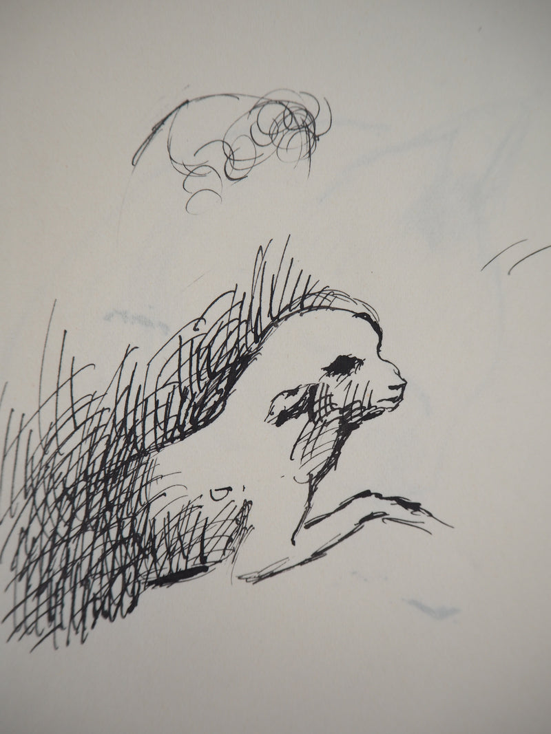 Marie LAURENCIN : Agneau - Dessin (détail)