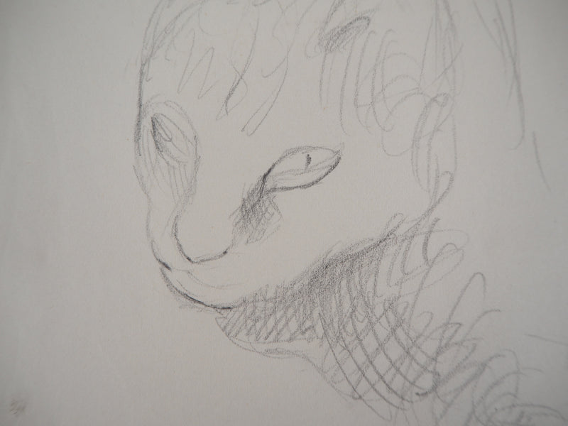 Marie LAURENCIN : Chat - Dessin (détail)