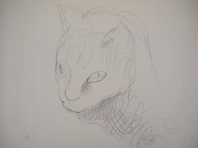 Marie LAURENCIN : Chat - Dessin (détail)