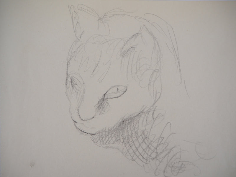 Marie LAURENCIN : Chat - Dessin (détail)