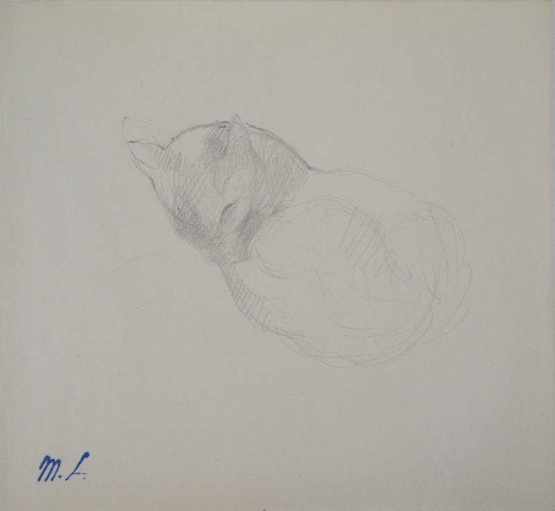 Marie LAURENCIN : Chat dormant - Dessin