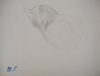 Marie LAURENCIN : Chat dormant - Dessin (détail)