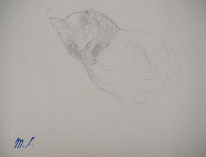 Marie LAURENCIN : Chat dormant - Dessin (détail)
