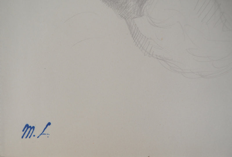 Marie LAURENCIN : Chat dormant - Dessin (détail)