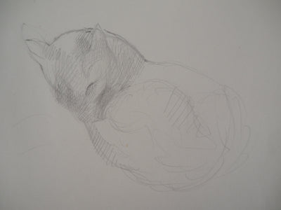Marie LAURENCIN : Chat dormant - Dessin (détail)