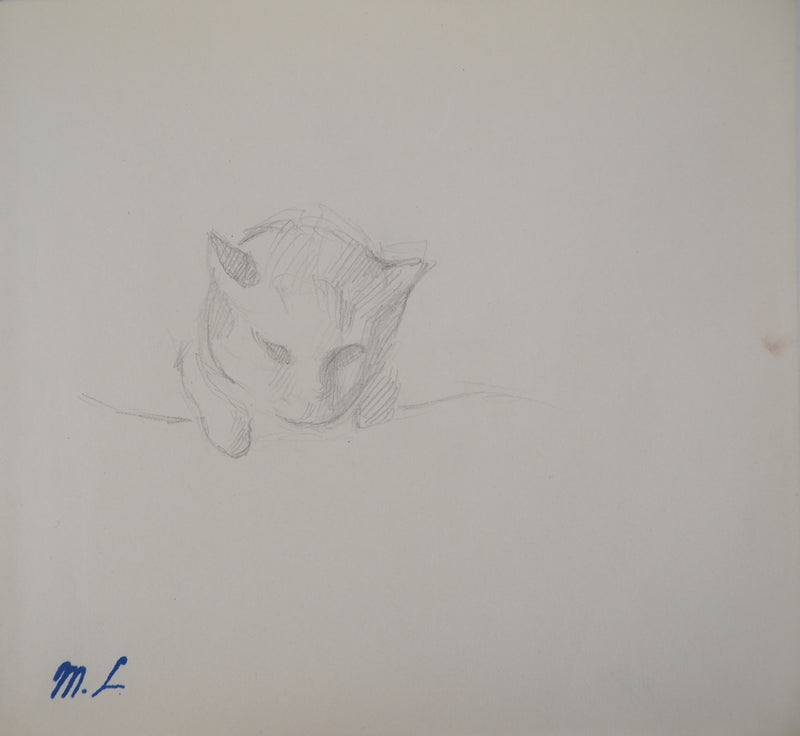 Marie LAURENCIN : Chaton - Dessin
