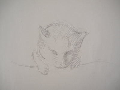 Marie LAURENCIN : Chaton - Dessin (détail)