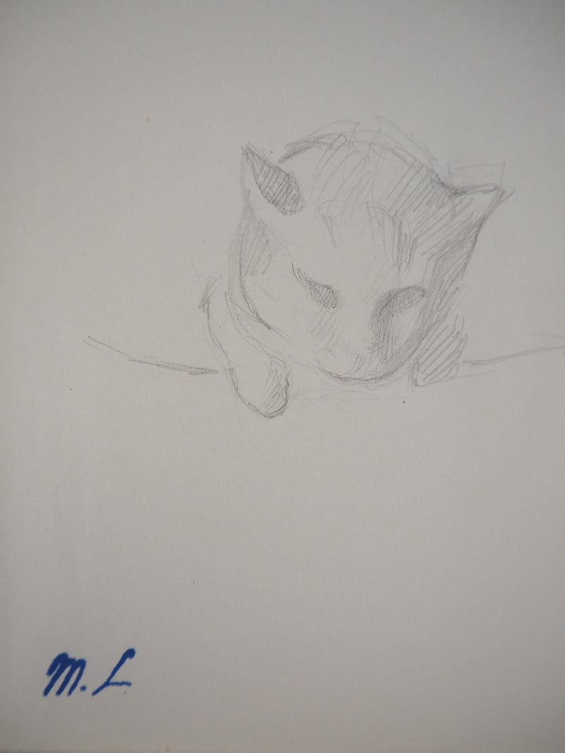 Marie LAURENCIN : Chaton - Dessin (détail)