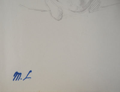 Marie LAURENCIN : Chaton - Dessin (détail)