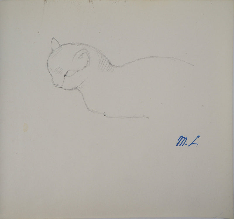 Marie LAURENCIN : Etude du chat - Dessin