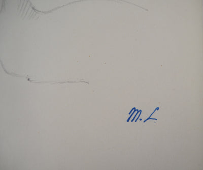 Marie LAURENCIN : Etude du chat - Dessin (détail)
